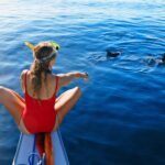 Swimming with Dolphins in Kaikoura
