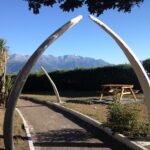 Best Things to do in Kaikoura