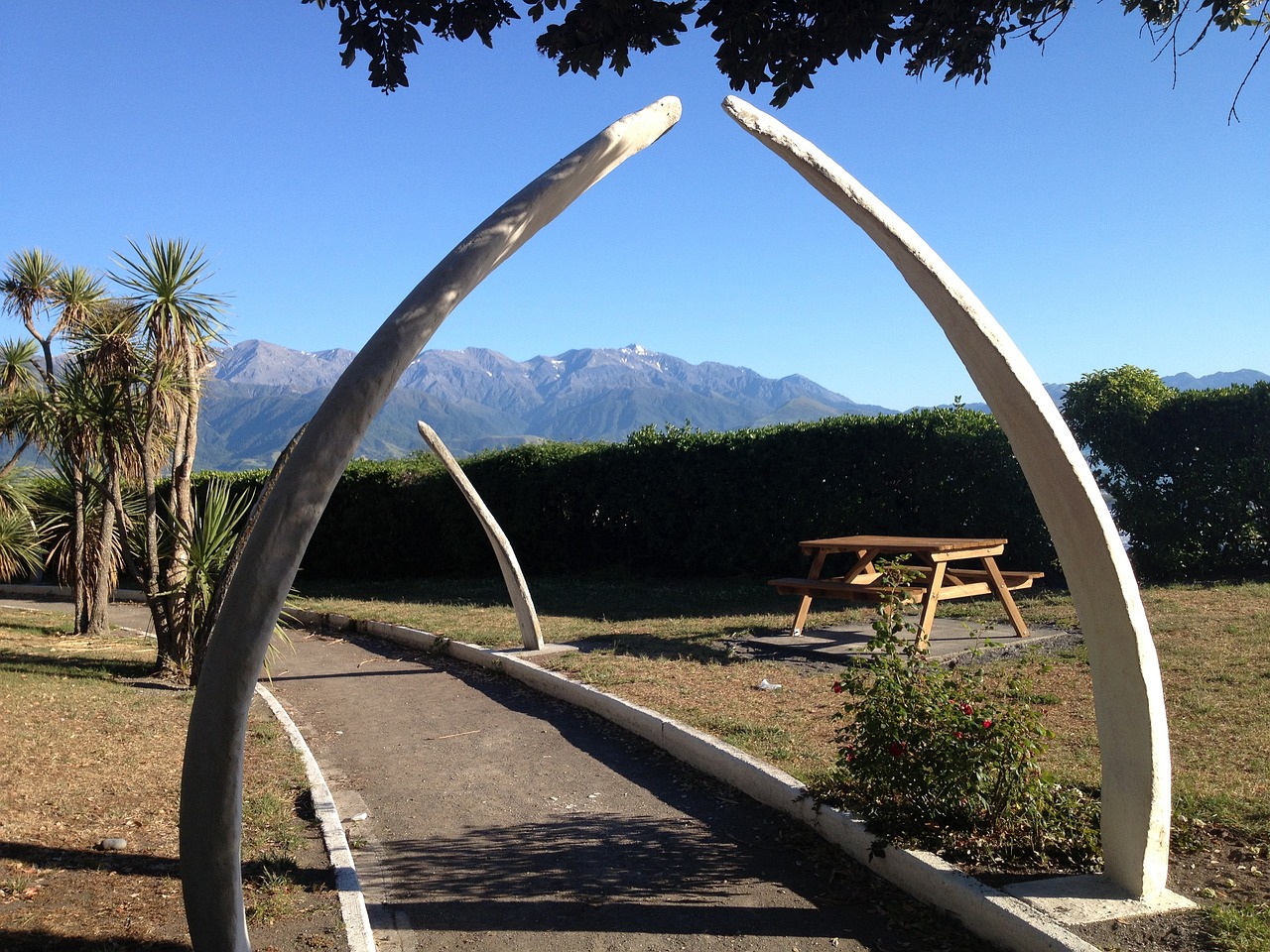 best things to do in kaikoura